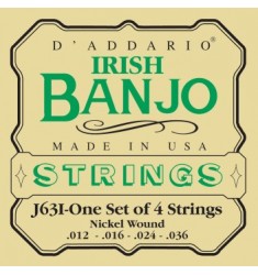 D'Addario J63i Irish Tenor Banjo Strings, Nickel, 9-30