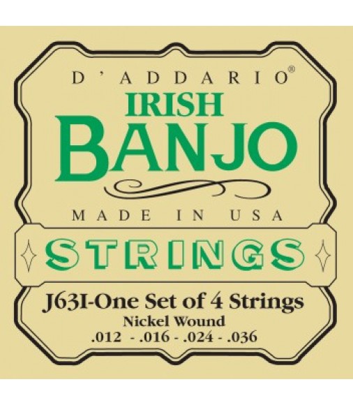 D'Addario J63i Irish Tenor Banjo Strings, Nickel, 9-30