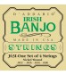 D'Addario J63i Irish Tenor Banjo Strings, Nickel, 9-30