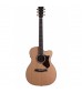Martin OMCPA1 Plus Electro Acoustic Guitar