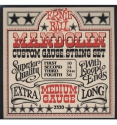 Ernie Ball  2320