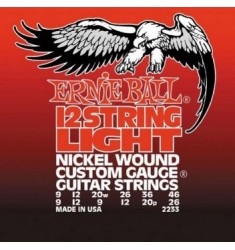 Ernie Ball  2233