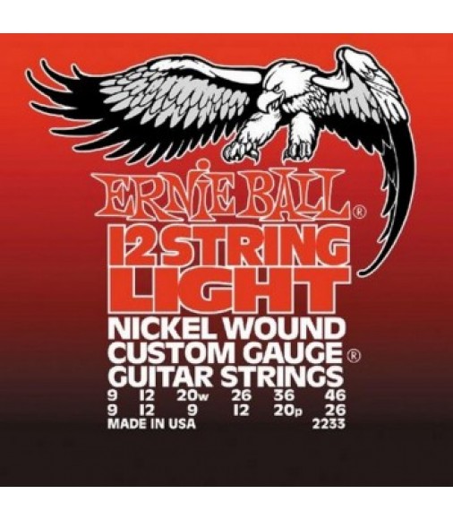 Ernie Ball  2233