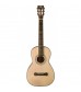 Washburn R315K Parlour Gloss Finish Spruce TOP Natural