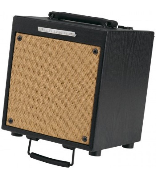 Ibanez T20 Troubadour Acoustic Amplifier Combo