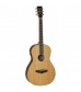 Tanglewood Evolution TP-CSN-E Parlour Electro Acoustic