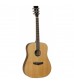 Tanglewood Evolution TW28-CSN Dreadnought Guitar Natural