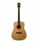 Washburn WD10S Dreadnought Acoustic Guitar in Natural