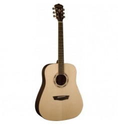 Washburn WD25S Acoustic Guitar