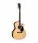 Martin GPC Aura GT Electro Acoustic Guitar