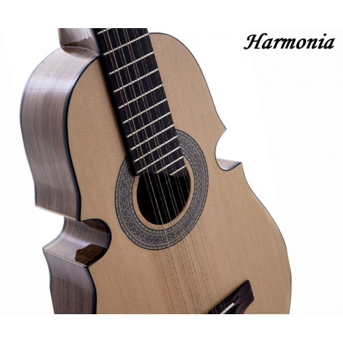 Harmonia Cuatro Puerto Rican Guitar C4500NT Guitars China Online