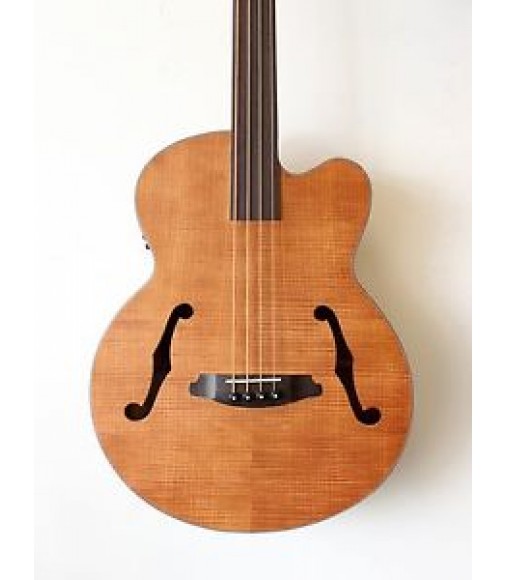 ARIA FEBFL/F Acoustic Electric Fretless Bass Guitars China Online
