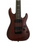 Walnut Satin  Schecter Omen-8