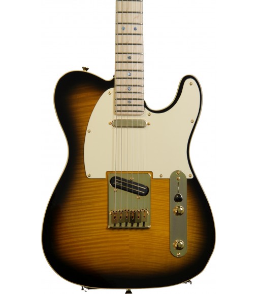 Artist Series, 2 Tone Sunburst  Fender Richie Kotzen Telecaster