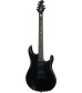 Stealth Black, Fully Loaded  Ernie Ball Music Man John Petrucci 6