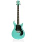 Seafoam Green  PRS S2 Standard 24 w/Birds