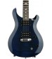 Whale Blue  PRS SE Custom 22