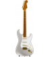 Inca Silver  Fender Custom Shop 20th Anniversary Relic Stratocaster Ltd. Ed.