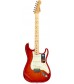 Aged Cherry Burst, Ash Body  Fender American Elite Stratocaster, Maple