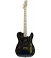 Artist Series, Blue Paisley Flames  Fender James Burton Telecaster