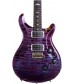 Violet  PRS P24 Trem