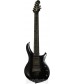 7 String, Polar Noir  Ernie Ball Music Man John Petrucci Majesty