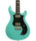 Seafoam Green  PRS S2 Standard 22 w/Birds