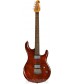 Hazel Burst, Flame Maple Top  Ernie Ball Music Man Luke III BFR, HH