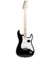 Black  Fender American Standard Stratocaster, Maple