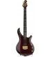 Viola  Ernie Ball Music Man John Petrucci Majesty Artisan 6-string