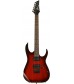 Blackberry Sunburst  Ibanez RG421