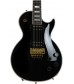 Floyd Rose, Ebony  Cibson Custom C-Les-paul Axcess Custom