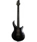 6 String, Polar Noir  Ernie Ball Music Man John Petrucci Majesty