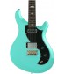 Seafoam Green  PRS S2 Vela, Birds