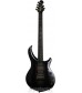 6 String, Polar Noir  Ernie Ball Music Man John Petrucci Majesty