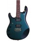 Mystic Dream, Left Hand  Ernie Ball Music Man John Petrucci 6 with Piezo