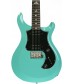 Seafoam Green  PRS S2 Standard 24 w/Birds