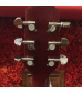 Giannini DG-41 CEQ Acoustic Electric Cutaway Dreadnought Guitar w/Gig Bag #A414