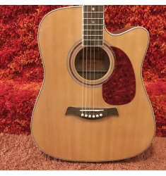 Giannini DG-41 CEQ Acoustic Electric Cutaway Dreadnought Guitar w/Gig Bag #A414