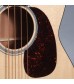 Martin BCPA4 Acoustic-Electric Cutaway Bass Guitar with Case