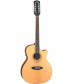 Luna Guitars Heartsong 12-String Acoustic-Electric Guitar With USB Natural