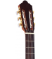 Giannini GNC-1CDR Solid Cedar Top Classical Guitar Natural