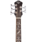 Michael Kelly Dragonfly 5-String Acoustic-Electric Bass Smoke Burst