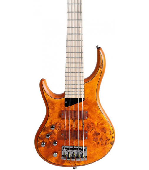 MTD Kingston KZ 5-String Left Handed Bass Burled Maple Maple