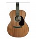 Martin GPX1SAE UK Custom Sapele Electro Acoustic