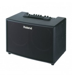 Roland AC90 Acoustic Amplifier