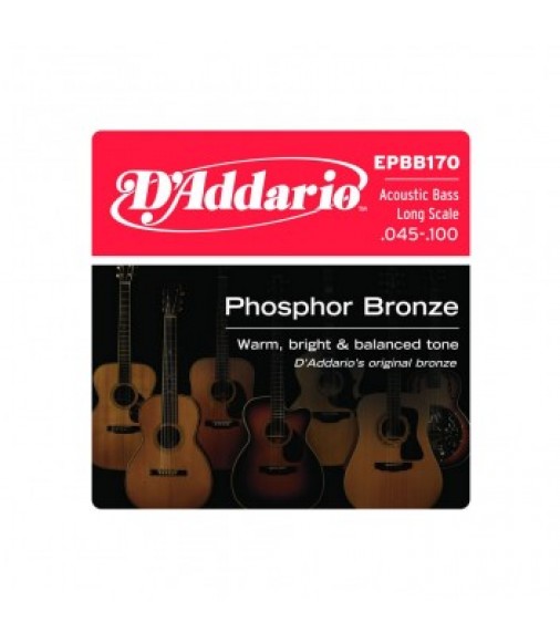 D'Addario EPBB170 Bronze Acoustic Bass Strings, Long Scale, 45-100