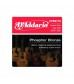 D'Addario EPBB170 Bronze Acoustic Bass Strings, Long Scale, 45-100