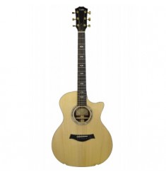 Taylor BTO Custom Electro Acoustic Grand Auditorium Guitar