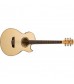 Washburn EA20 Electro Acoustic Guitar